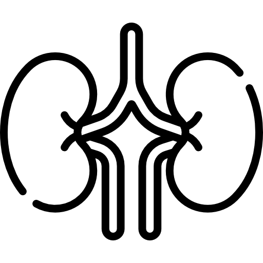 Kidneys